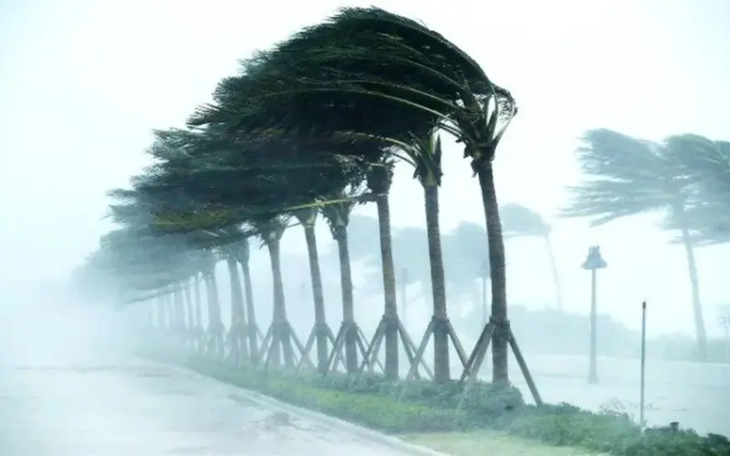 توقعات الأرصاد لطقس الأيام الخمسة المقبلة تتضمن شبورة ورياحا وأتربة في البلاد